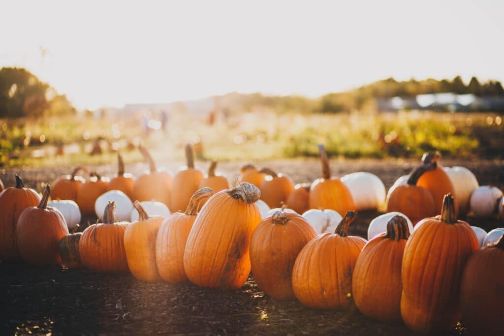 Fall Events in Lehigh Valley | HTSS Inc.