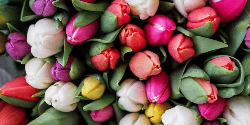 March Events in Lehigh Valley | HTSS Inc