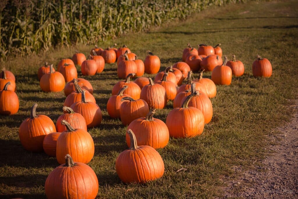 Fall Events in Lehigh Valley